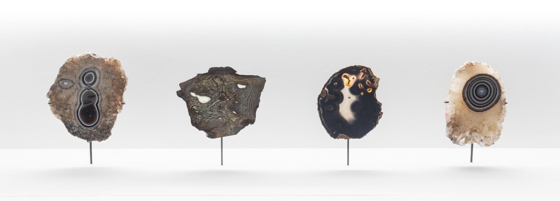 Daniele Molajoli, Roger Caillois Collection, 1988