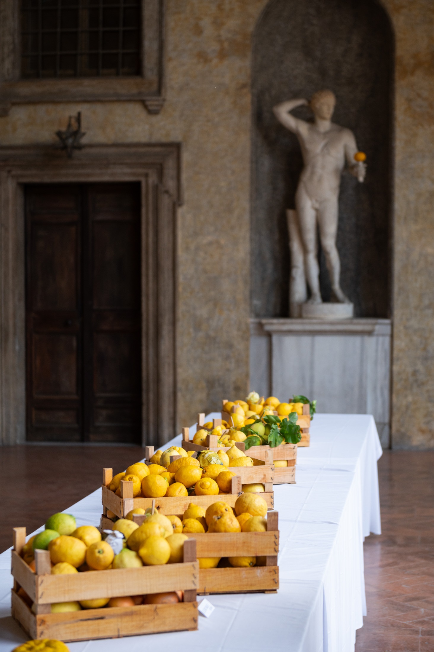 Déjeuner des citrons © Margherita Nuti